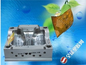 頭燈塑料模具的研制與大型塑膠模具制造關(guān)鍵技術(shù)